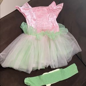 Gymboree Woodland Fairy Costume w/ wings & tights